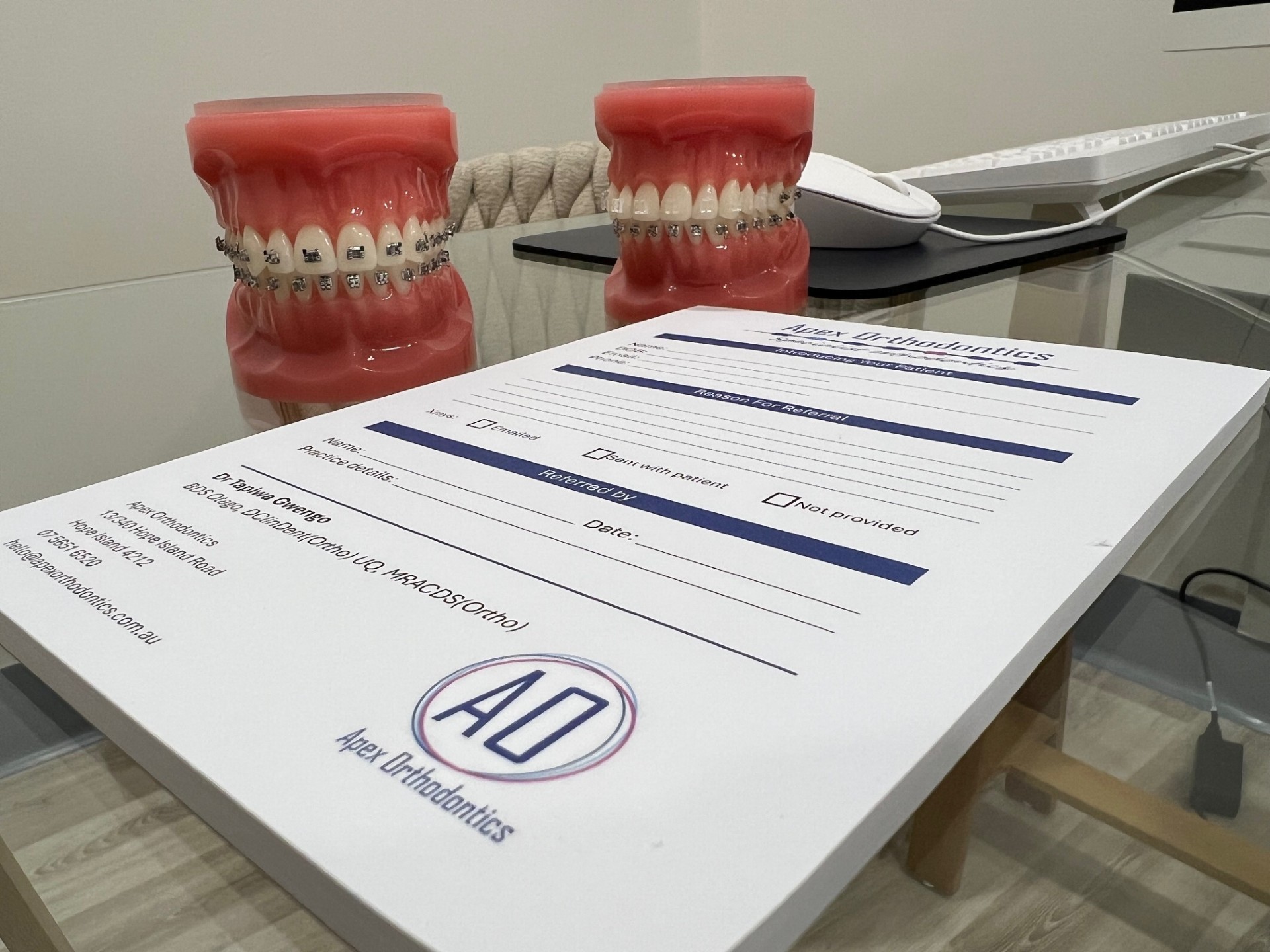 A Happy Woman Getting a Dental Check up